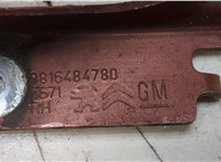  Петля капота Peugeot Rifter 20389507 #2