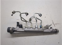 03L130089A Рампа (рейка) топливная Audi A6 (C6) 2004-2011 20389675 #2