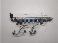 03L130089A Рампа (рейка) топливная Audi A6 (C6) 2004-2011 20389675 #4