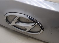  Накладка крышки багажника (двери) Hyundai Santa Fe 2012-2016 20389697 #2