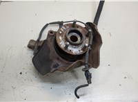  Ступица (кулак, цапфа) Hyundai Santa Fe 2005-2012 20389720 #1