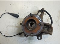  Ступица (кулак, цапфа) Ford Fusion 2002-2012 20389782 #1