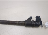 821436, 55564218, 93195390 Форсунка топливная Opel Corsa D 2006-2014 20389813 #1