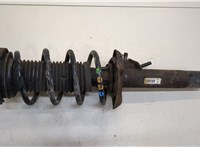  Амортизатор подвески Skoda Octavia (A5) 2004-2013 20389871 #1