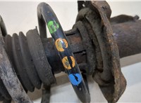  Амортизатор подвески Skoda Octavia (A5) 2004-2013 20389871 #3