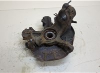  Ступица (кулак, цапфа) Skoda Fabia 2007-2014 20389892 #3