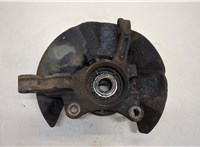  Ступица (кулак, цапфа) Volkswagen Transporter 5 2003-2009 20389903 #3
