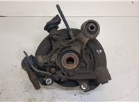  Ступица (кулак, цапфа) Mitsubishi Pajero / Montero 2000-2006 20389915 #2