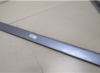  Молдинг двери Audi A4 (B6) 2000-2006 20389943 #1