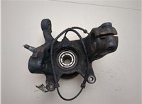 31203413226, 31213412020 Ступица (кулак, цапфа) BMW X3 E83 2003-2010 20390069 #4