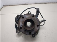 31203413226, 31213412020 Ступица (кулак, цапфа) BMW X3 E83 2003-2010 20390069 #5