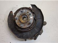  Ступица (кулак, цапфа) Hyundai Santa Fe 2005-2012 20390077 #1