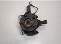  Ступица (кулак, цапфа) Chrysler Voyager 2001-2007 20390356 #1