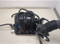 03D129743K Коллектор впускной Volkswagen Polo 2005-2009 20390611 #1