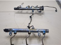  Рампа (рейка) топливная Mercedes ML W164 2005-2011 20390665 #5