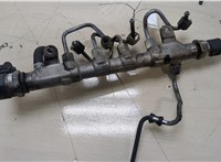 03L130089J Рампа (рейка) топливная Volkswagen Passat CC 2008-2012 20390832 #4