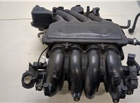 037906031AL, 06A133317A Коллектор впускной Volkswagen Beetle 1998-2010 20391153 #1