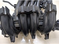 037906031AL, 06A133317A Коллектор впускной Volkswagen Beetle 1998-2010 20391153 #3