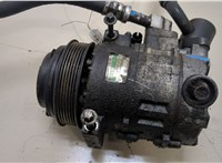  Компрессор кондиционера Mercedes ML W164 2005-2011 20391622 #1