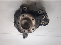 31216765157, 6765157, 31216793924, 6793924 Ступица (кулак, цапфа) BMW 1 E87 2004-2011 20392301 #8