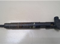 A6510700587 Форсунка топливная Mercedes C W204 2007-2013 20392406 #1