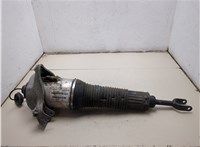4E0616039AF Амортизатор подвески Audi A8 (D3) 2002-2010 20392925 #12
