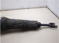 4E0616039AF Амортизатор подвески Audi A8 (D3) 2002-2010 20392925 #13