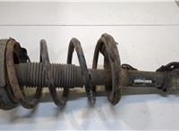  Амортизатор подвески KIA Carens 2006-2012 20392970 #1