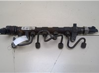  Рампа (рейка) топливная Volkswagen Crafter 2006-2016 20393010 #1