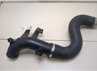 2E0145828B Патрубок интеркулера Volkswagen Crafter 2006-2016 20393011 #1