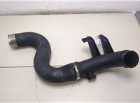 2E0145828B Патрубок интеркулера Volkswagen Crafter 2006-2016 20393011 #4