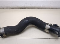  Патрубок интеркулера BMW 4 F32 2013-2021 20393147 #1