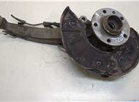  Ступица (кулак, цапфа) Volkswagen Touareg 2007-2010 20393162 #1