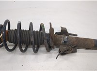  Амортизатор подвески Ford Mondeo 3 2000-2007 20393181 #4