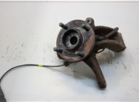  Ступица (кулак, цапфа) Ford Fiesta 2001-2007 20393299 #1