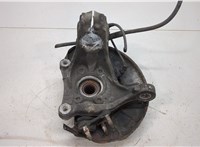  Ступица (кулак, цапфа) Volkswagen Passat 6 2005-2010 20393497 #2