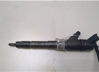 0445110273 Форсунка топливная Fiat Ducato 2006-2014 20393538 #1