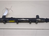  Рампа (рейка) топливная Fiat Ducato 2006-2014 20393542 #1