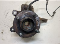 Ступица (кулак, цапфа) Ford Fusion 2002-2012 20393691 #1