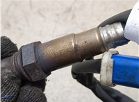0258010243, CV619G444CA Лямбда зонд Ford Focus 3 2011-2015 20394136 #5
