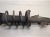  Амортизатор подвески Ford Focus 2 2008-2011 20394224 #1