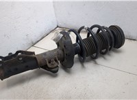 13219124 Амортизатор подвески Opel Insignia 2008-2017 20394450 #6