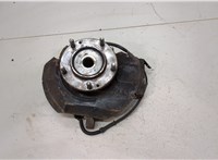  Ступица (кулак, цапфа) KIA Sorento 2002-2009 20394876 #1