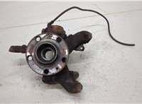  Ступица (кулак, цапфа) Skoda Fabia 2007-2014 20394894 #1