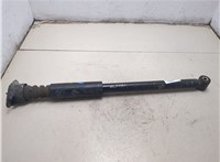 1305638, 2N1118008AE Амортизатор подвески Ford Fusion 2002-2012 20395031 #4
