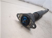 1305638, 2N1118008AE Амортизатор подвески Ford Fusion 2002-2012 20395031 #5