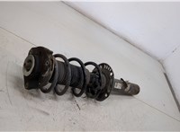  Амортизатор подвески Skoda Octavia (A5) 2004-2013 20395281 #3