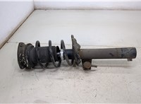  Амортизатор подвески Skoda Octavia (A7) 2013-2023 20395283 #2