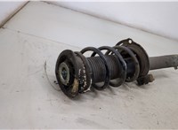  Амортизатор подвески Skoda Octavia (A7) 2013-2023 20395283 #3
