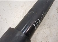  Амортизатор подвески KIA Sorento 2002-2009 20395550 #2
